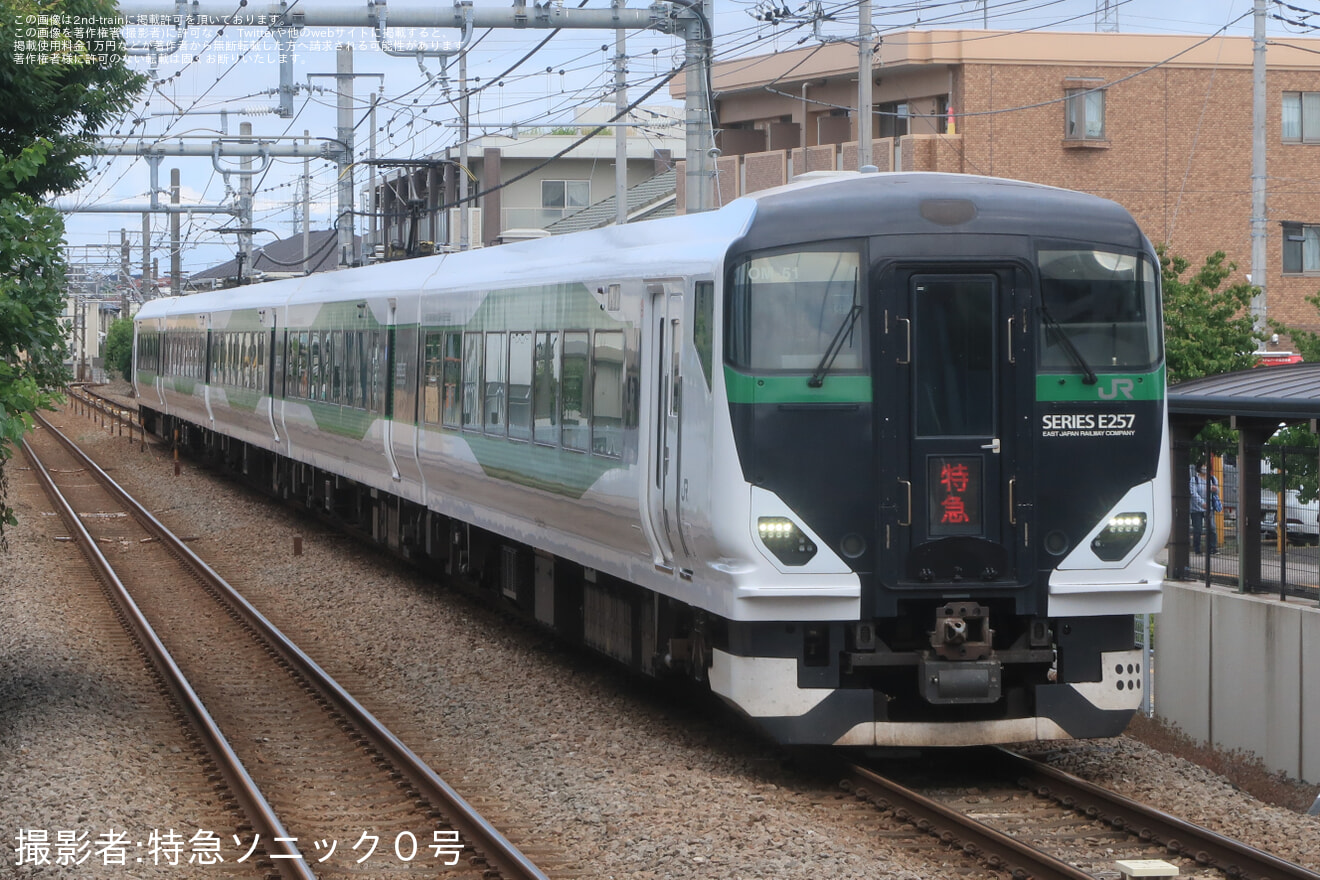 【JR東】臨時特急「鎌倉満喫五日市」を運転の拡大写真