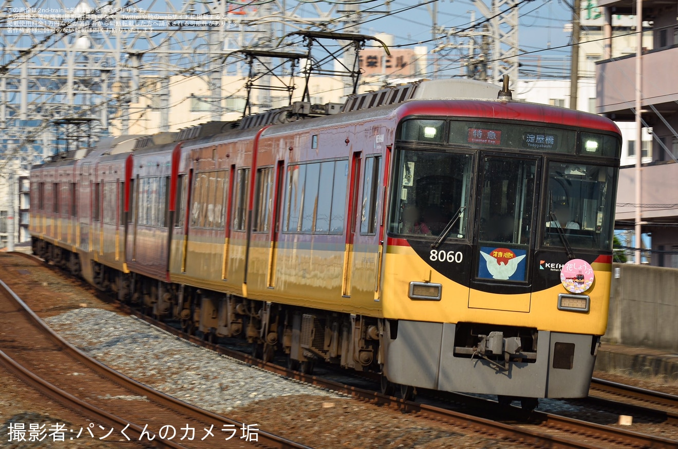 【京阪】「初夏の花」ヘッドマークを取り付け開始の拡大写真