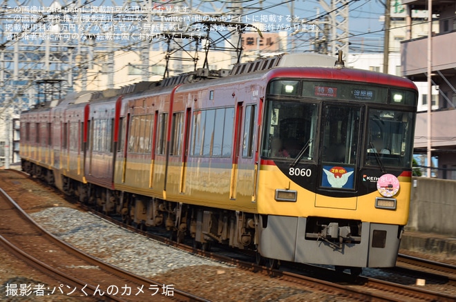 【京阪】「初夏の花」ヘッドマークを取り付け開始