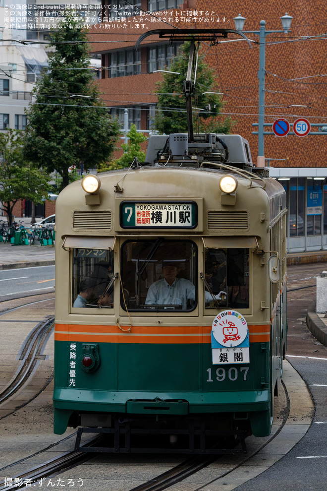 【広電】1900形に「路面電車の日」記念ヘッドマーク掲出を不明で撮影した写真