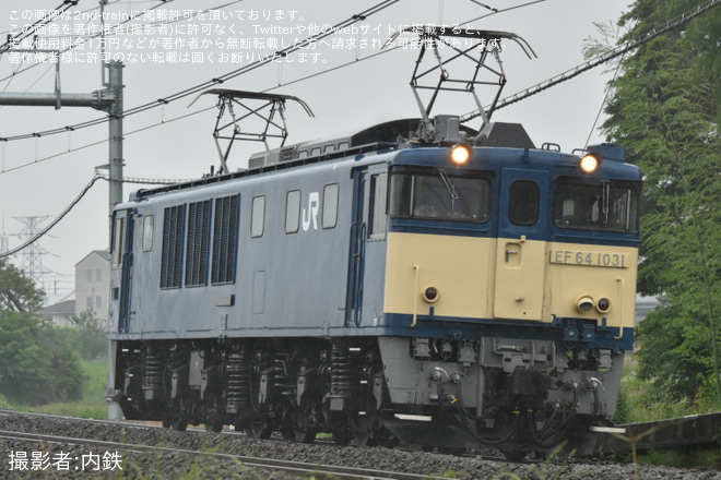 【JR東】EF64-1031返却回送(2025年6月3日)