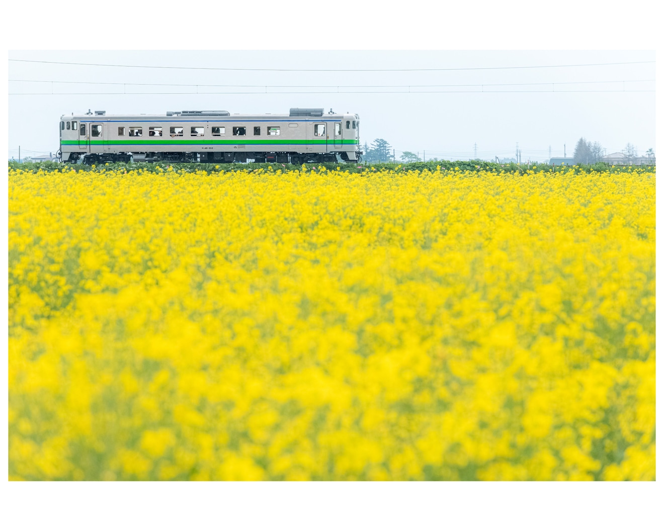 【JR北】キハ40-302を使用した団体臨時列車が札沼線で運転の拡大写真