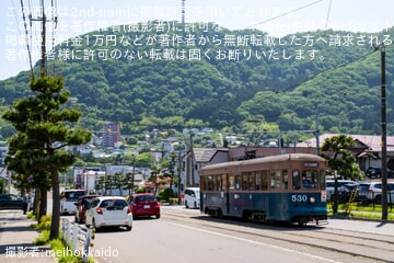 【函館市】530号「路面電車の日」記念運転