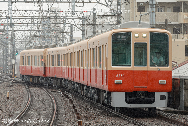石屋川駅で撮影された【阪神】8000系8239F赤胴車塗装(2本目)尼崎工場出場試運転(フルユニット)
