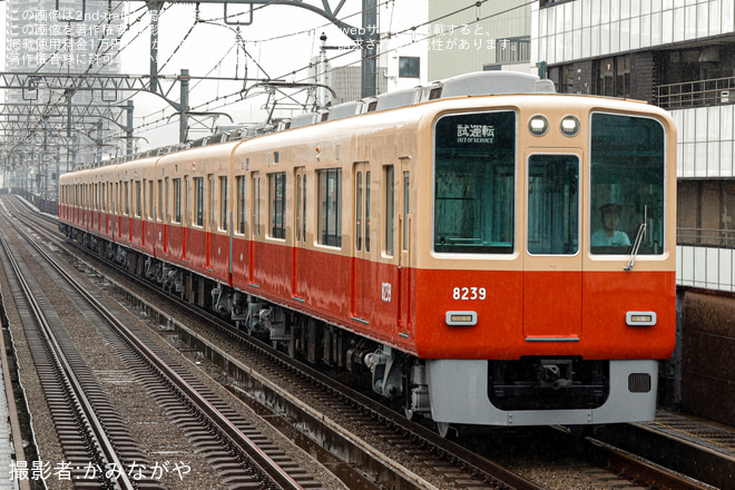 今津駅で撮影された【阪神】8000系8239F赤胴車塗装(2本目)尼崎工場出場試運転(フルユニット)
