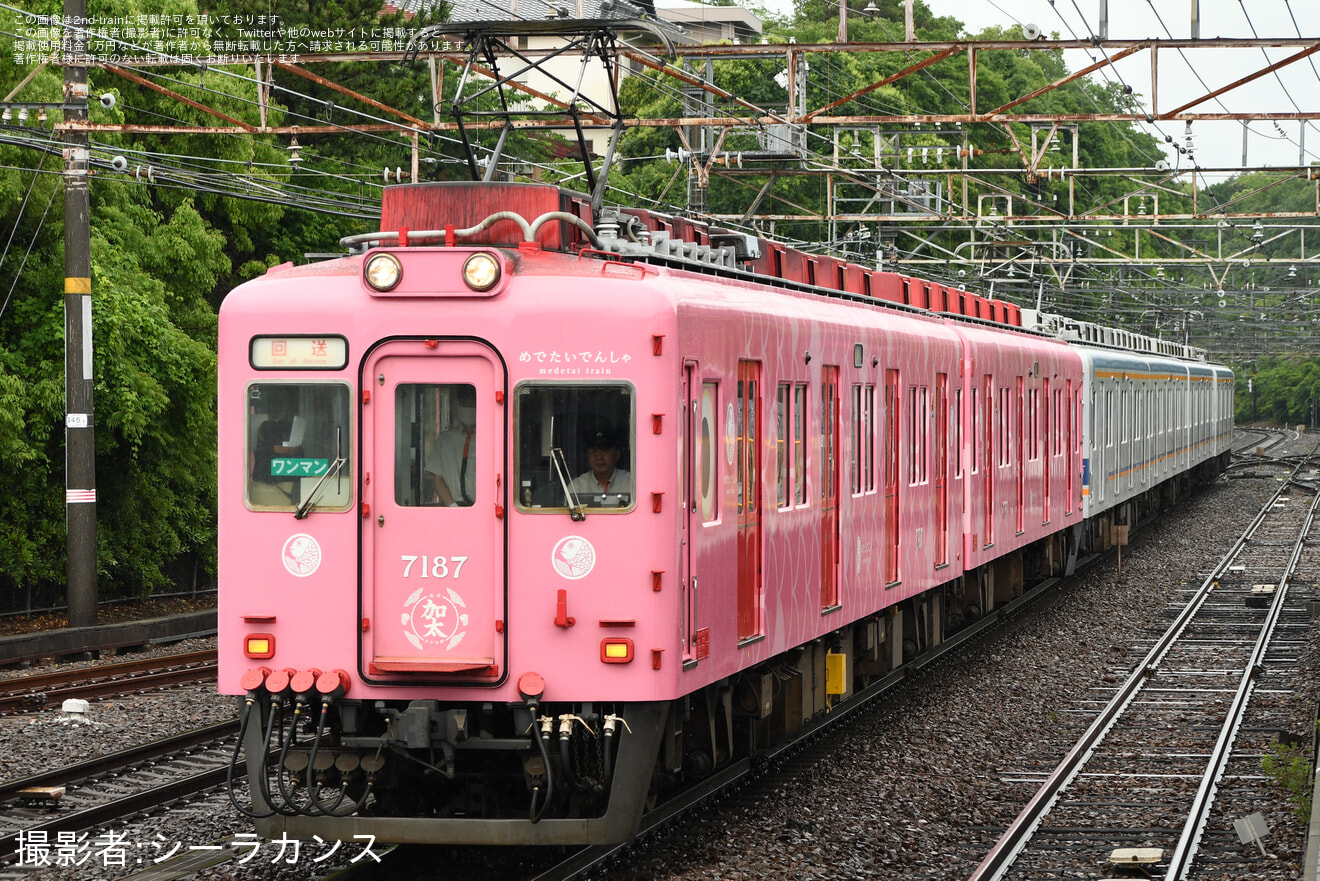 【南海】7100系7187F+7137F 臨時回送の拡大写真