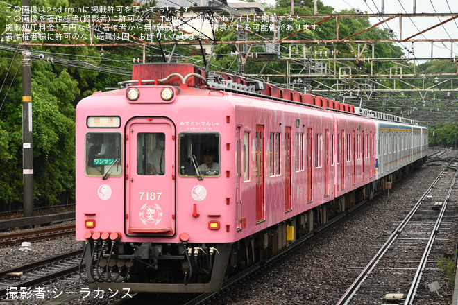 【南海】7100系7187F+7137F 臨時回送をみさき公園駅で撮影した写真