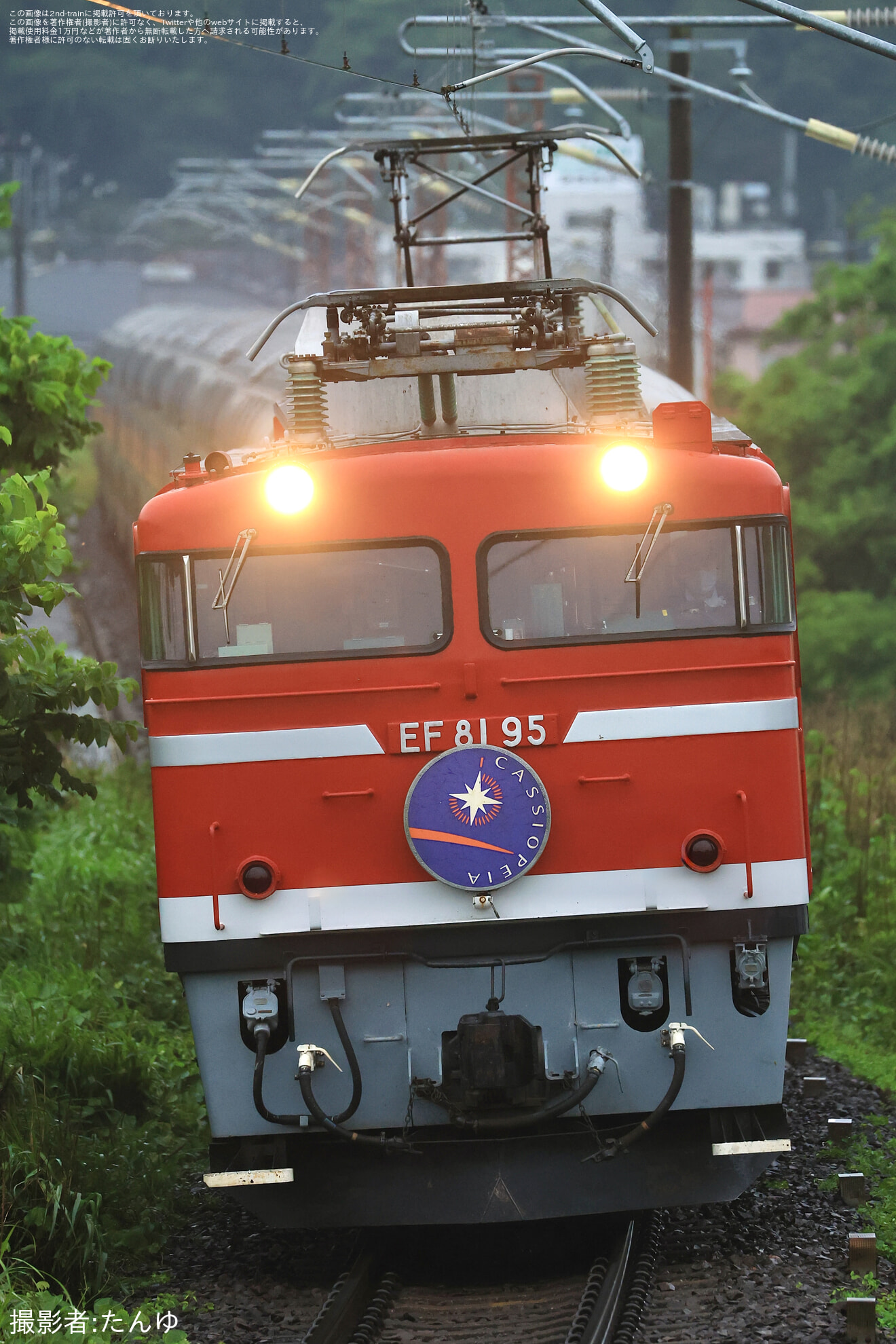 【JR東】EF81-95牽引仙台行きカシオペア紀行運転(20250614)の拡大写真