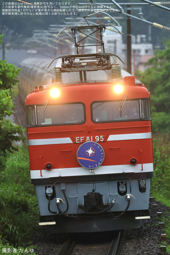【JR東】EF81-95牽引仙台行きカシオペア紀行運転(20250614)