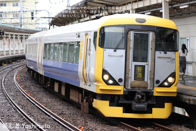 【JR東】外房線普通列車の千葉行きにE257系が充当を不明で撮影した写真