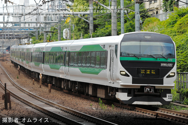 目白駅で撮影された【JR東】E257系オオOM-91編成 山手貨物線試運転