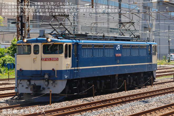鶴見駅で撮影された【JR貨】EF65-2085 西湘試単