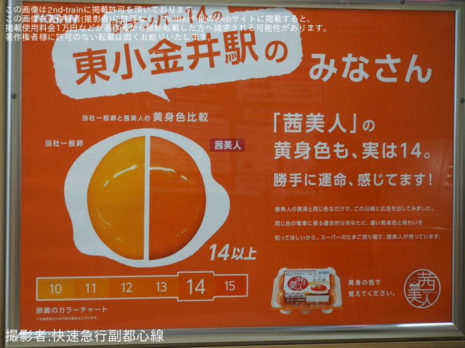 東小金井駅で撮影された【JR東】E233系トタT1編成が「茜美人」仕様に