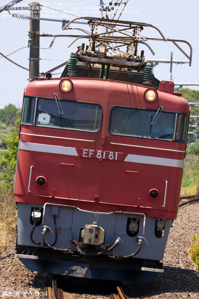 天王台で撮影された【JR東】EF81-81使用 神立試単(20250619)