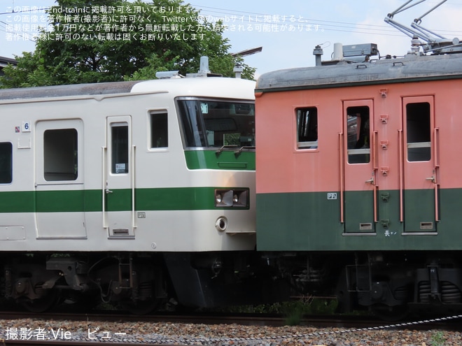【JR東】185系C1編成がクモヤ143-52の牽引・推進で構内入換