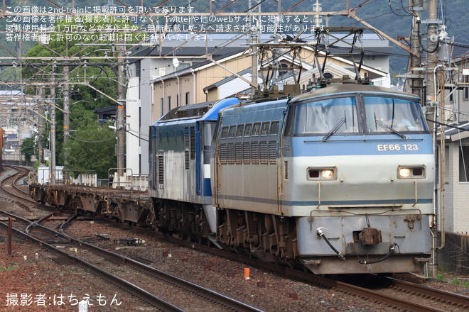 山科駅で撮影された【JR貨】8865レでEF66-123がEF210-169+コキ4Bを牽引