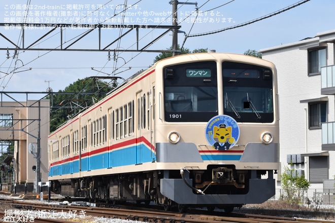 【近江】「たなばた電車」ヘッドマークを取り付け開始(2025年)