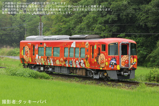 黒川～塩入間で撮影された【JR四】2700系気動車2803号車「あかいアンパンマン列車」が多度津工場出場