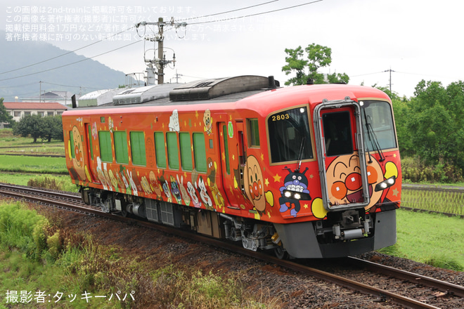 塩入～琴平間で撮影された【JR四】2700系気動車2803号車「あかいアンパンマン列車」が多度津工場出場