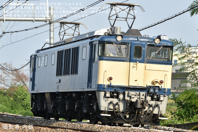 【JR東】EF64-1031返却回送(2025年6月30日)を不明で撮影した写真