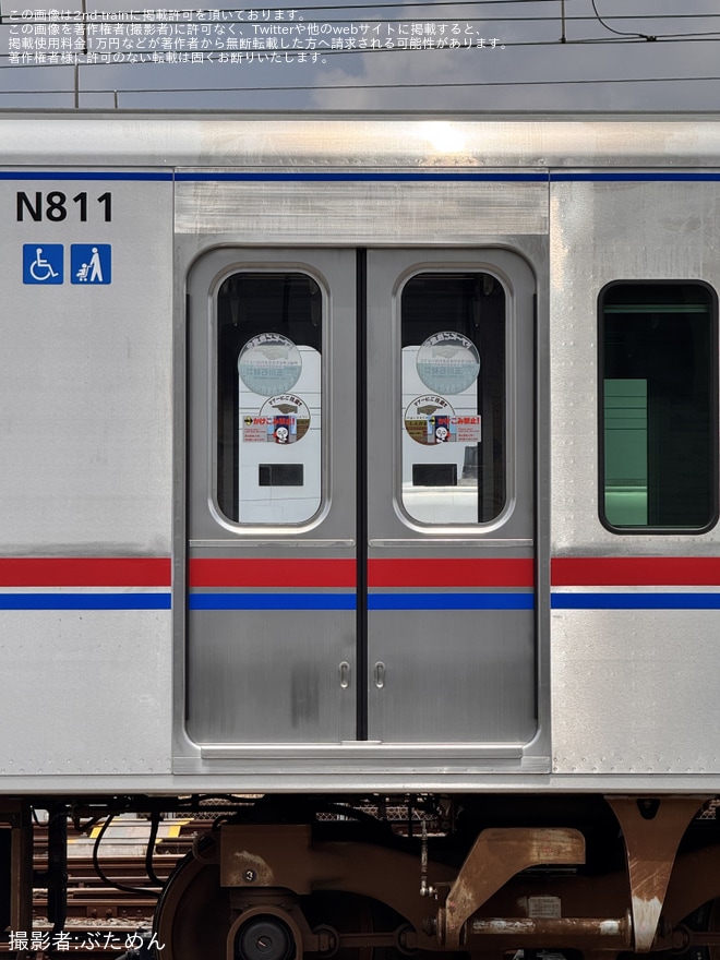 くぬぎ山車両基地付近で撮影された【京成】N800形N818Fが車庫から顔を出した状態に