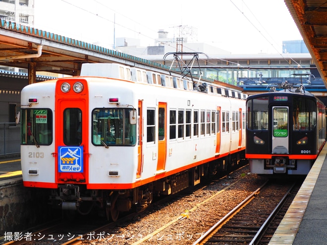 【一畑】直通急行列車に「出雲大社号」ヘッドマーク装着開始