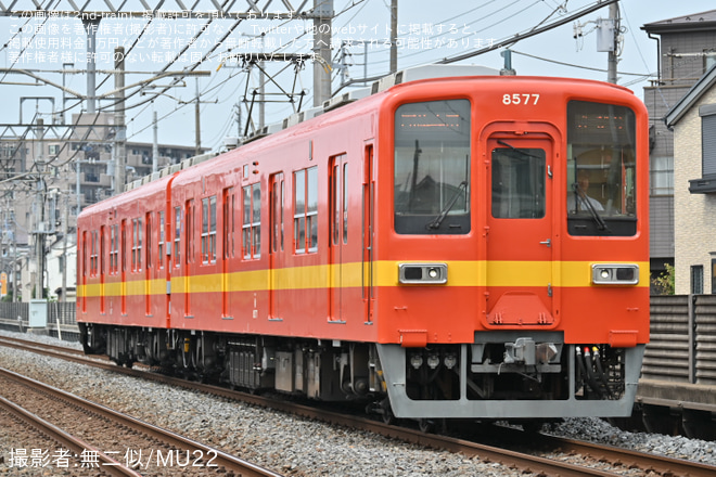 大袋～北越谷間で撮影された【東武】8000系8577F使用「ありがとう8500型8577編成ツアー」催行