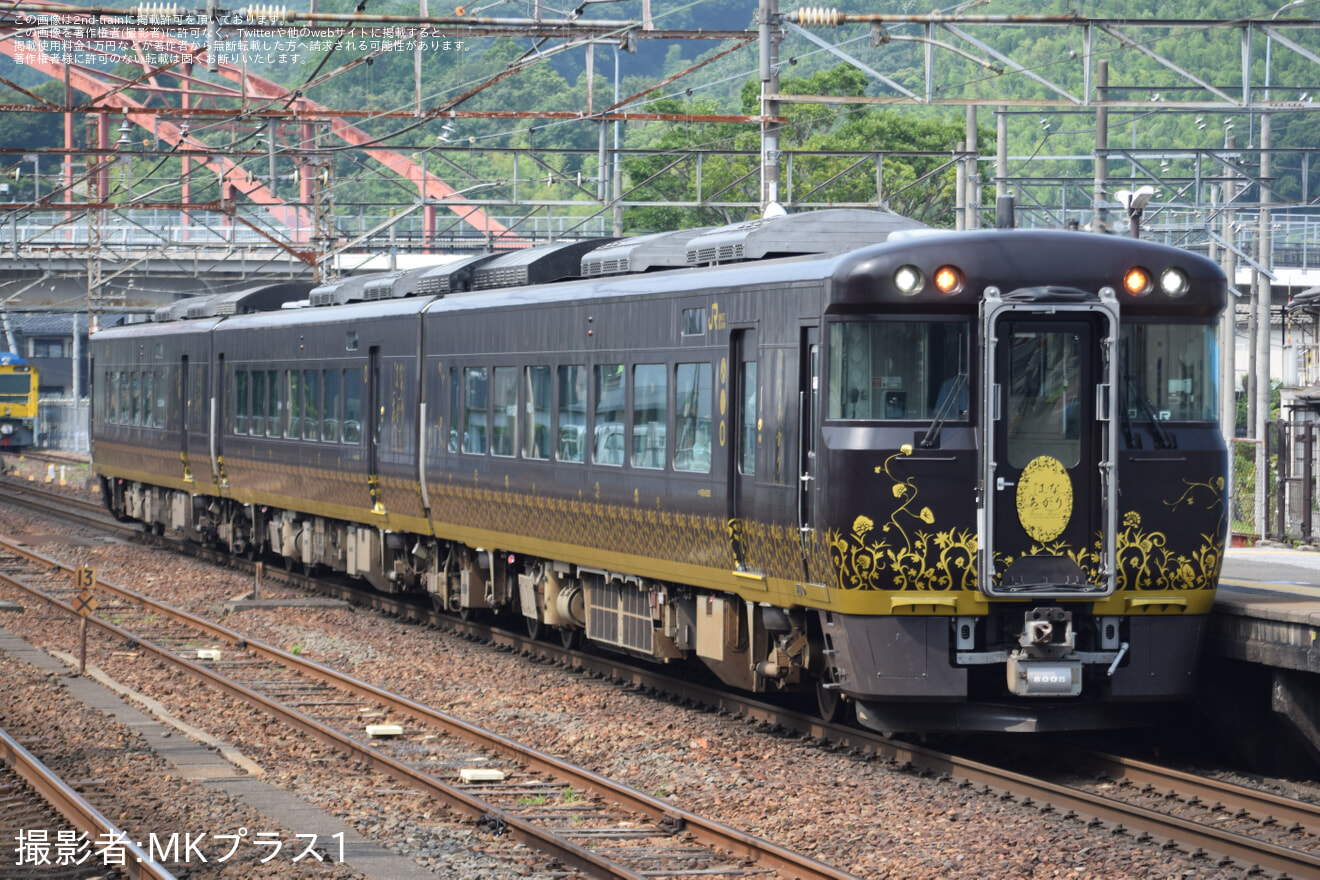 の写真