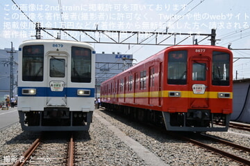 byとーふ