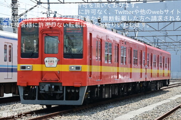 byとーふ