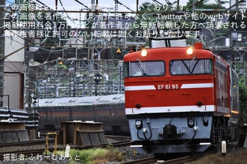 寝台特急カシオペア 撮影日2025.2/2 9011レ 寝台特急カシオペア紀行 仙台行EF81 80