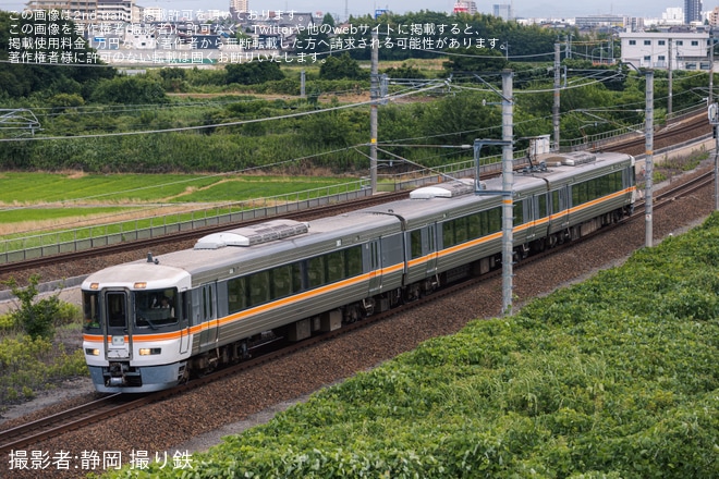 【JR海】373系F7編成神領車両区へ回送(20250713)