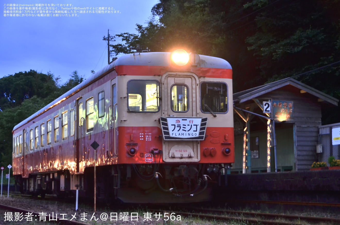 【いすみ】鉄道ファンの有志にてキハ52貸切撮影会(20250712)の拡大写真