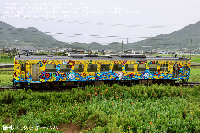 詫間～みの間で撮影された【JR四】キハ54-6 「しまんと開運汽車 スマイルえきちゃん号」が検査のため多度津工場入場
