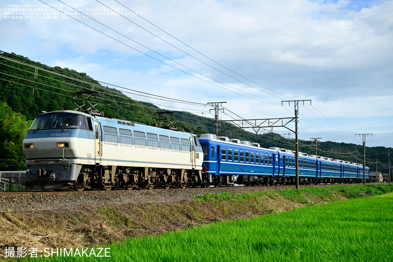 インドの大運動会 ドスベロ様 2種 試乗車月間始めます！ #試乗車月間始めます