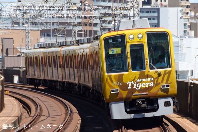 【阪神】阪神タイガース90周年ラッピングトレインで行く 阪神電気鉄道120周年＆阪神タイガース90周年電車と野球を楽しもう!を不明で撮影した写真