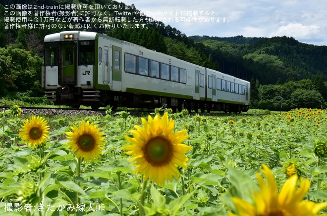 【JR東】臨時快速「五葉」・臨時快速「五葉2号」を運行(2025年)を不明で撮影した写真