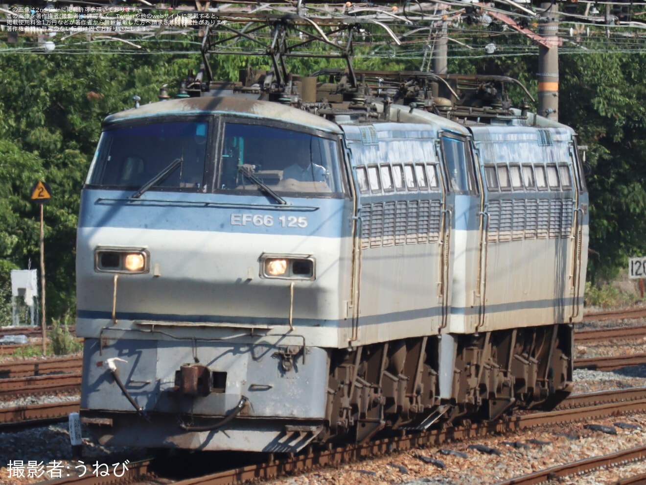 【JR貨】EF66-130が8865レの次位無動力で吹田貨物ターミナルへの拡大写真
