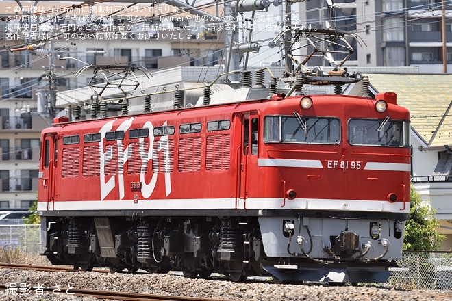 天王台〜取手間で撮影された【JR東】EF81-95使用 神立試単(20250724)