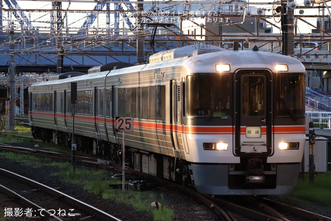 【JR海】動物と接触した373系F5編成が回送