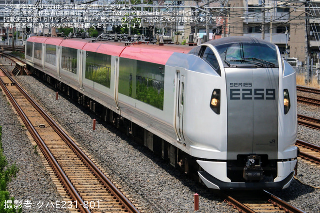 蕨～西川口間で撮影された【JR東】E259系クラNe020編成大宮総合車両センター出場回送