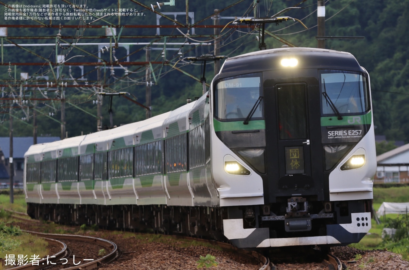 【JR東】「長岡まつり大花火大会号」乗車ツアーが催行(2025年)の拡大写真