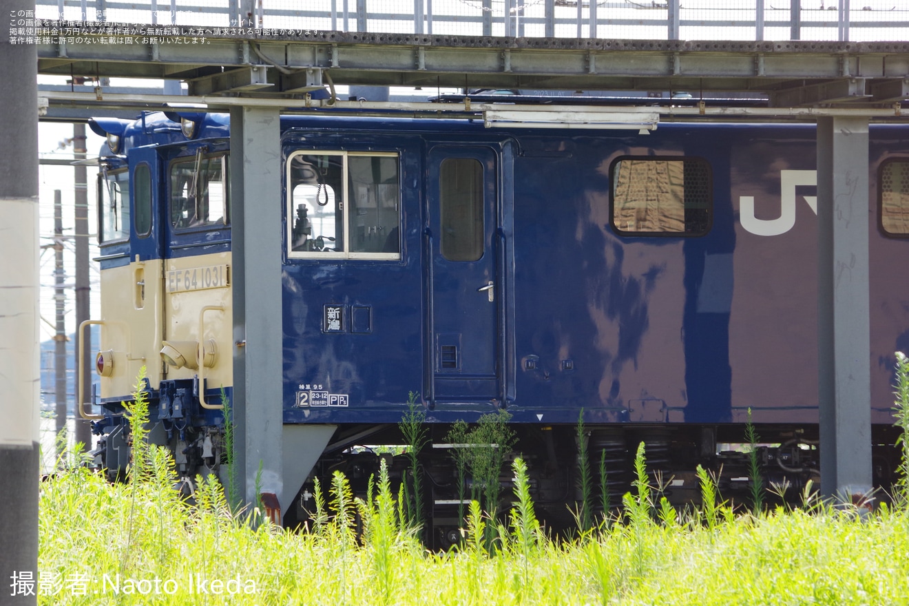 【JR東】EF64-1031が高崎へ回送の拡大写真
