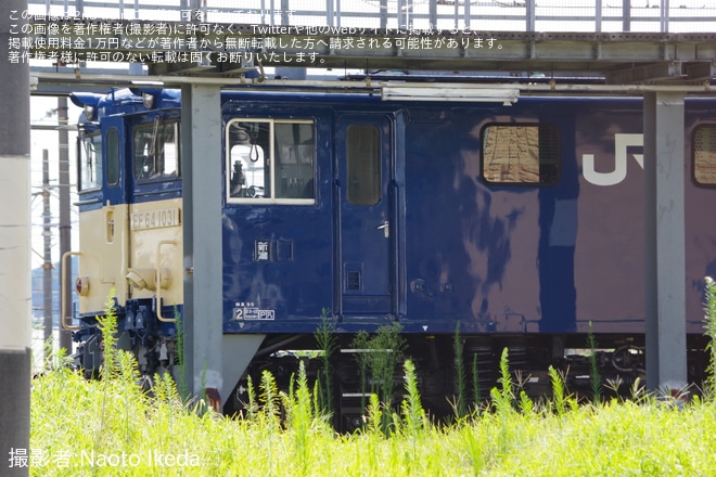 【JR東】EF64-1031が高崎へ回送を不明で撮影した写真