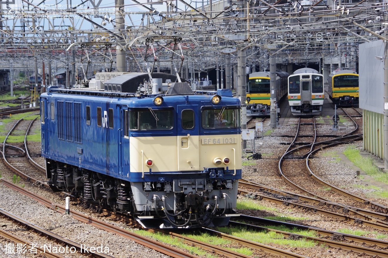 【JR東】EF64-1031が高崎へ回送の拡大写真