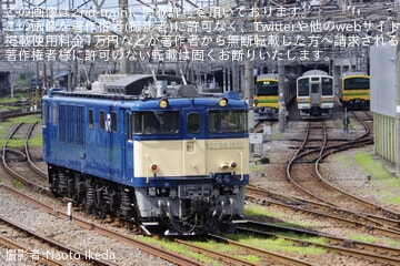 【JR東】EF64-1031が高崎へ回送