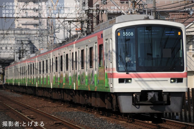 ＜比較用＞2018年頃のシルバニアファミリーラッピング