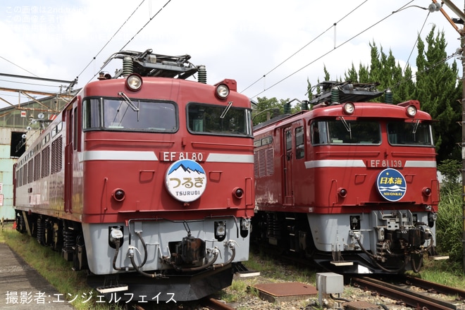 【JR東】EF81機関車見学会が開催(202508)を上野(旧田端)統括センターで撮影した写真
