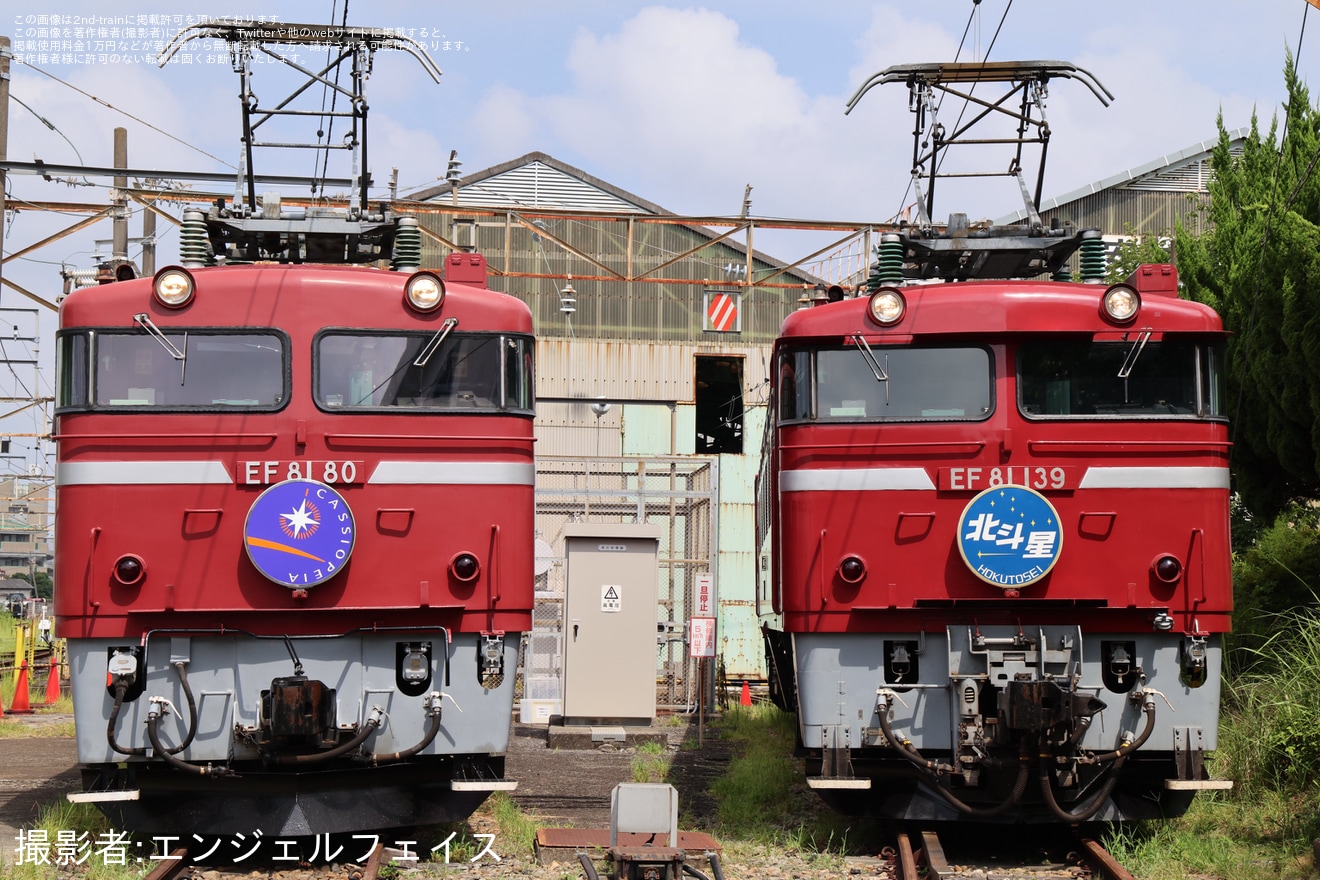 【JR東】EF81機関車見学会が開催(202508)の拡大写真