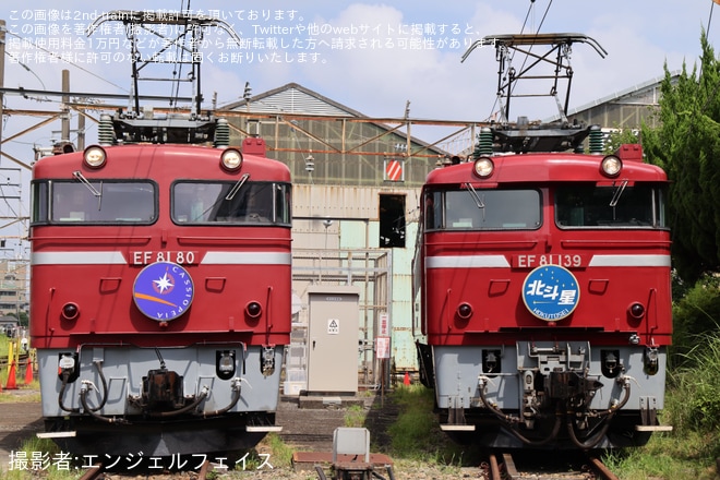 【JR東】EF81機関車見学会が開催(202508)を上野(旧田端)統括センターで撮影した写真